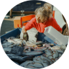 fish stock assessment image